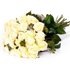 Bílé růže s pírky