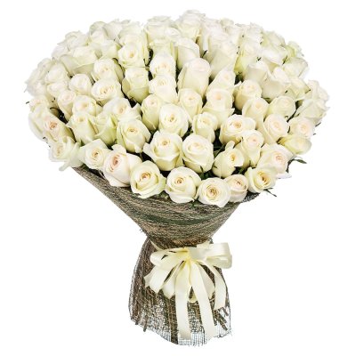 Bouquet of 100 White Roses